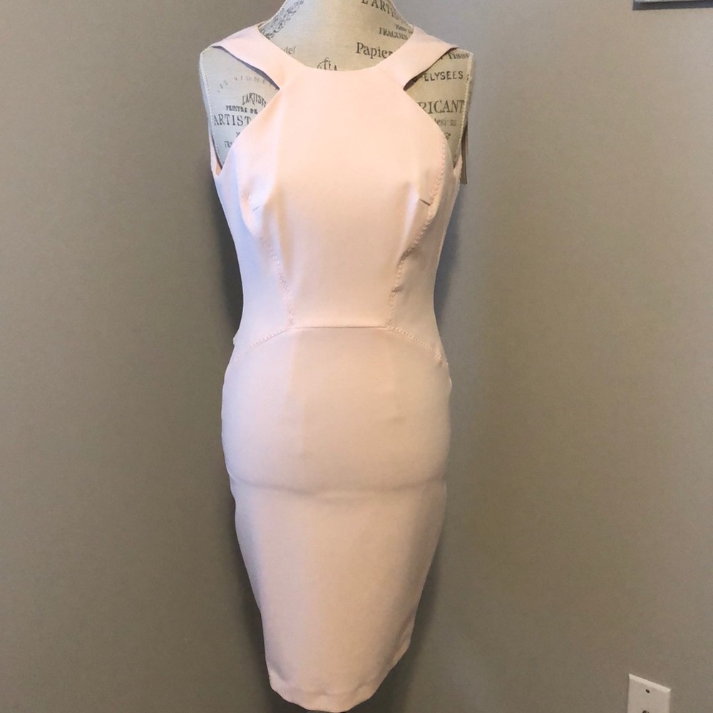 NWT French Connection Blush Pink Dress - Picture 3 of 8